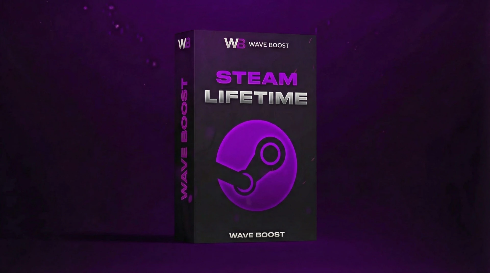 Steam [LIFETIME]